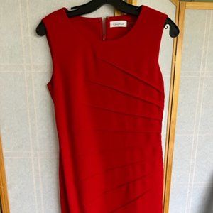 NEW  Calvin Klein Women's Sleeveless Sheath Dress with Starburst Detail.  (4p)
